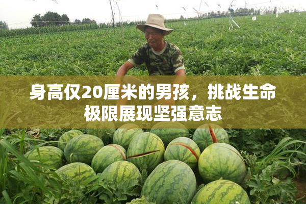 身高仅20厘米的男孩，挑战生命极限展现坚强意志