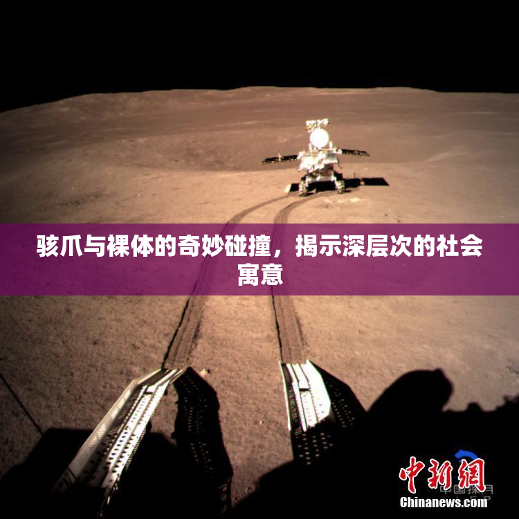 骇爪与裸体的奇妙碰撞，揭示深层次的社会寓意