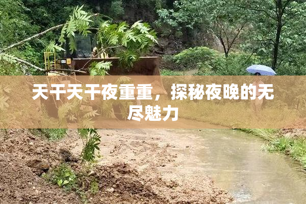 天干天干夜重重，探秘夜晚的无尽魅力
