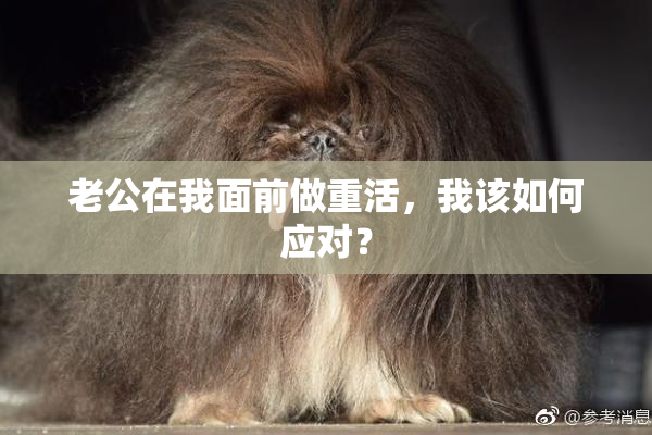 老公在我面前做重活，我该如何应对？