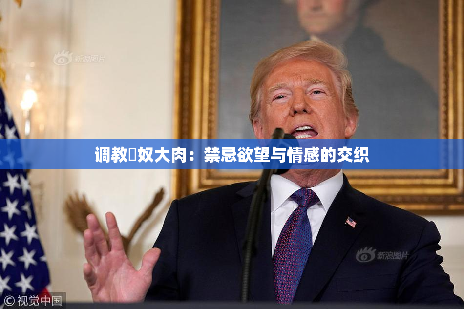 调教婬奴大肉：禁忌欲望与情感的交织