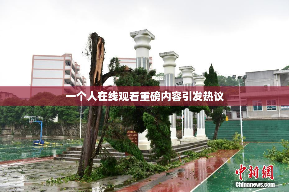 一个人在线观看重磅内容引发热议