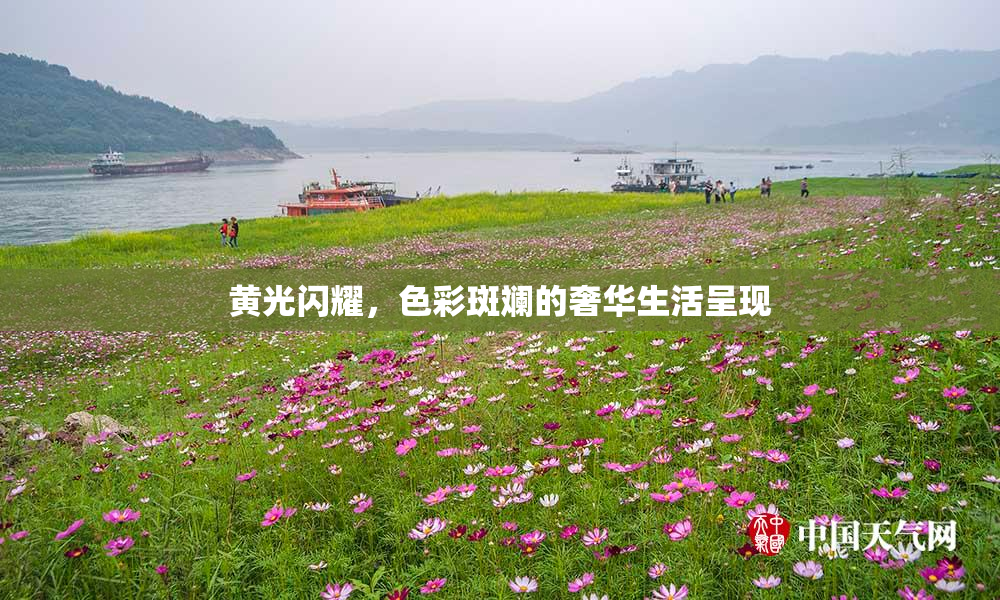 黄光闪耀，色彩斑斓的奢华生活呈现