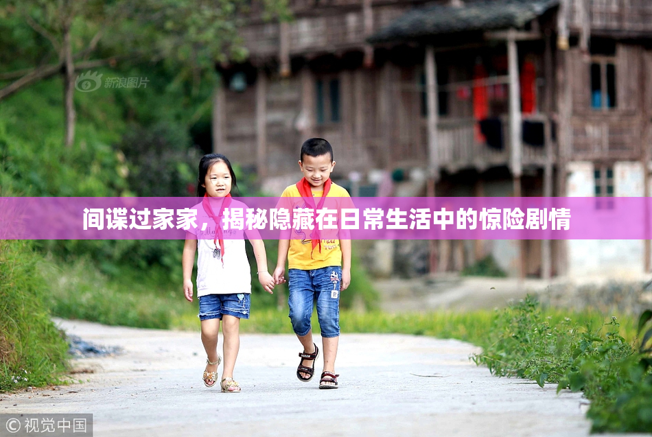 间谍过家家，揭秘隐藏在日常生活中的惊险剧情