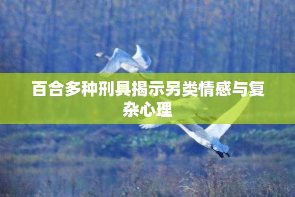 百合多种刑具揭示另类情感与复杂心理