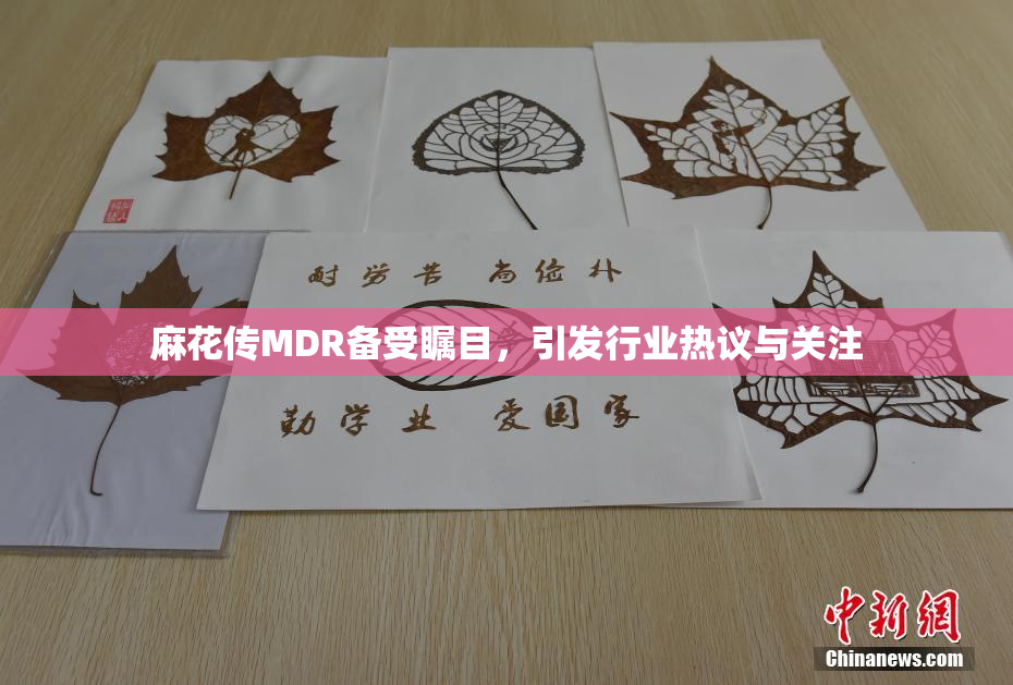 麻花传MDR备受瞩目，引发行业热议与关注