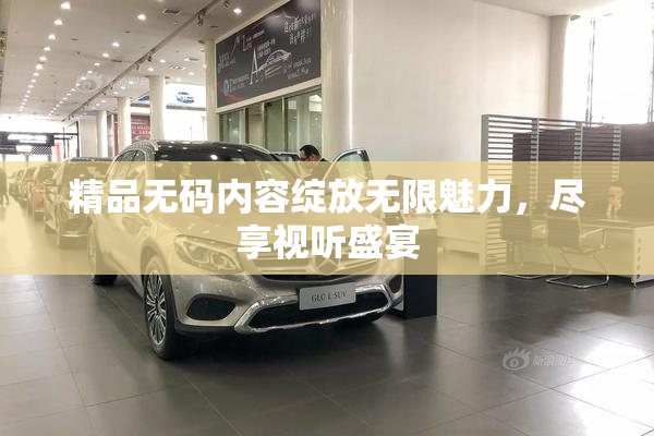 精品无码内容绽放无限魅力，尽享视听盛宴