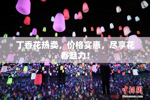 丁香花热卖，价格实惠，尽享花香魅力！