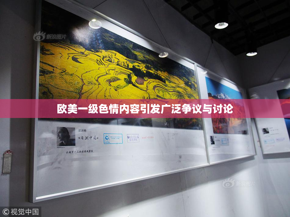 欧美一级色情内容引发广泛争议与讨论