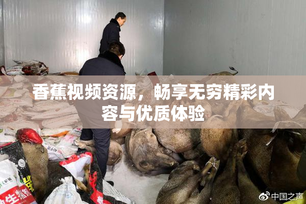 香蕉视频资源，畅享无穷精彩内容与优质体验