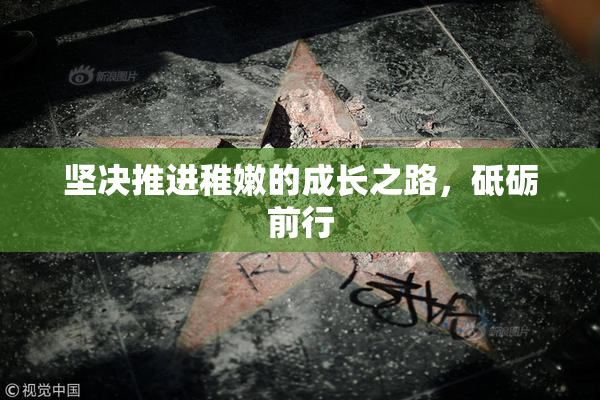 坚决推进稚嫩的成长之路，砥砺前行