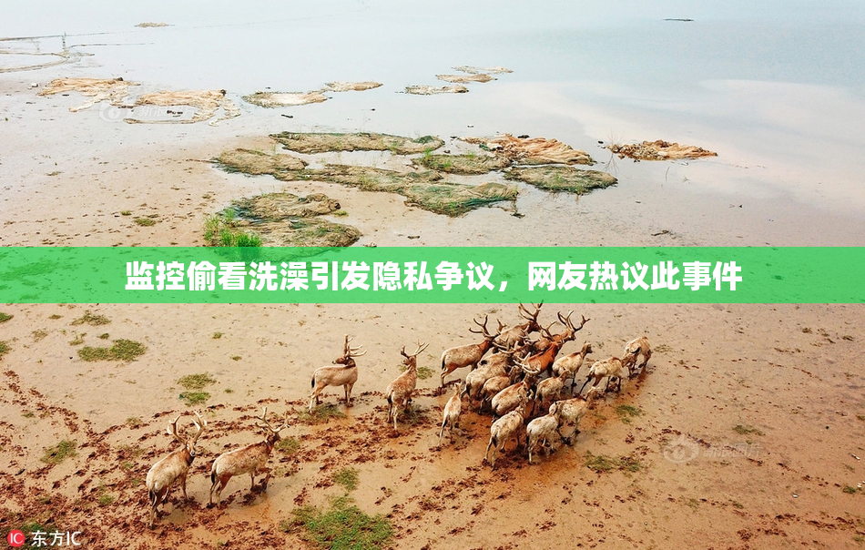 监控偷看洗澡引发隐私争议，网友热议此事件