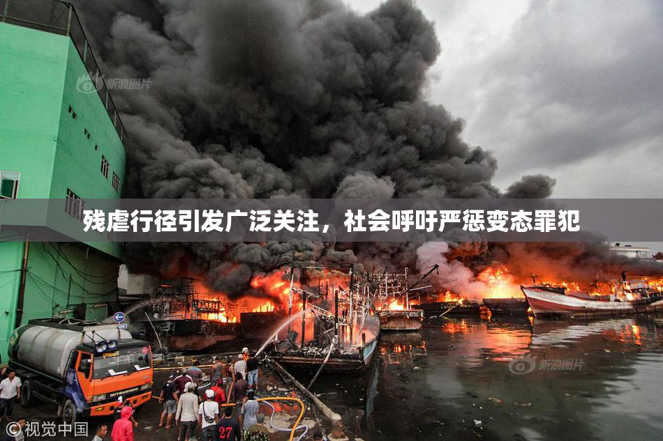 残虐行径引发广泛关注，社会呼吁严惩变态罪犯