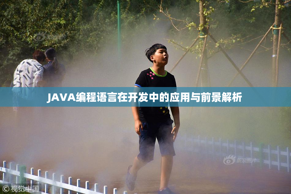 JAVA编程语言在开发中的应用与前景解析