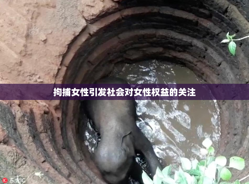 拘捕女性引发社会对女性权益的关注
