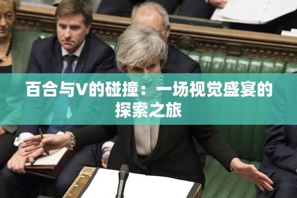 百合与V的碰撞：一场视觉盛宴的探索之旅