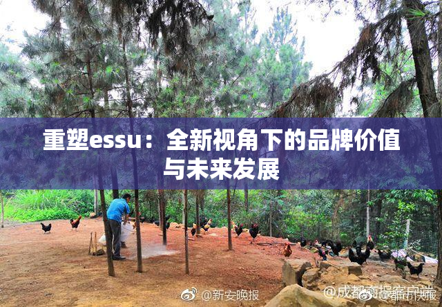 重塑essu：全新视角下的品牌价值与未来发展
