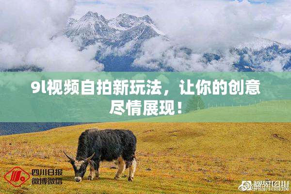 9l视频自拍新玩法，让你的创意尽情展现！