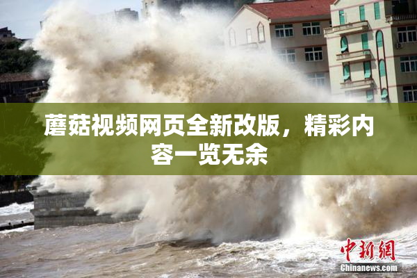 蘑菇视频网页全新改版，精彩内容一览无余