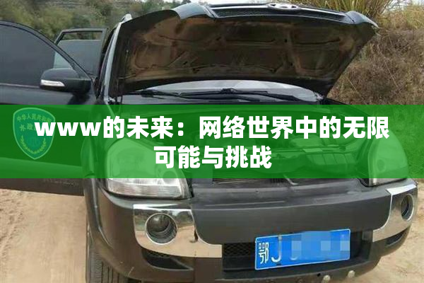 www的未来：网络世界中的无限可能与挑战