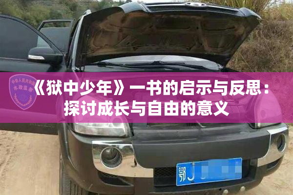 《狱中少年》一书的启示与反思：探讨成长与自由的意义