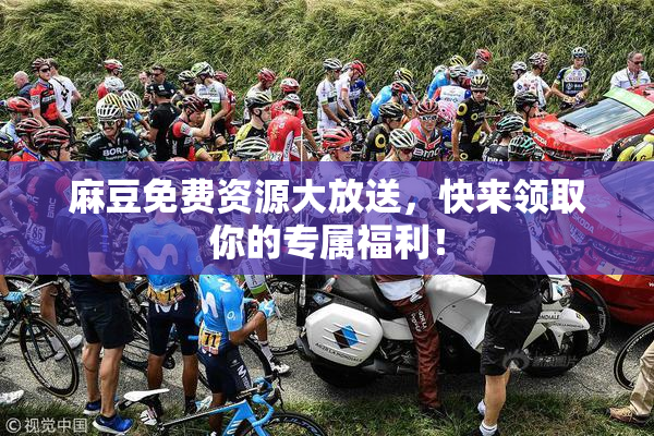 麻豆免费资源大放送，快来领取你的专属福利！