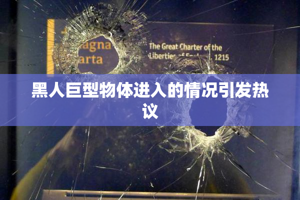 黑人巨型物体进入的情况引发热议