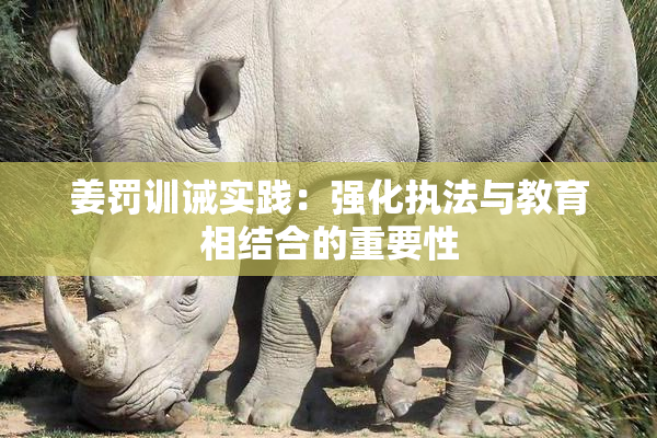 姜罚训诫实践：强化执法与教育相结合的重要性