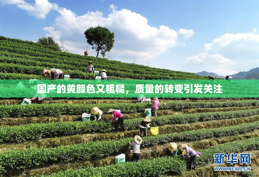国产的黄颜色又粗糙，质量的转变引发关注