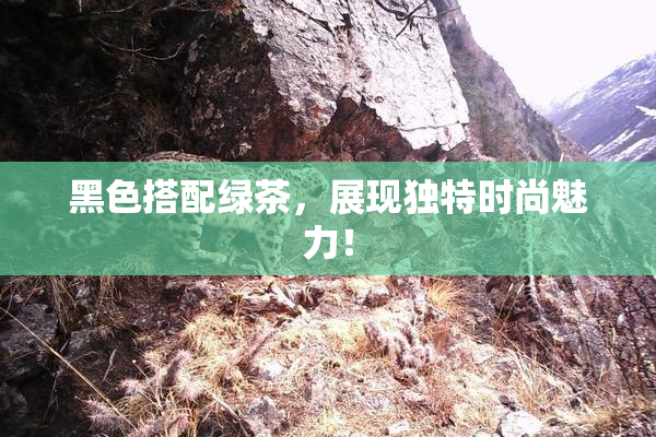 黑色搭配绿茶，展现独特时尚魅力！