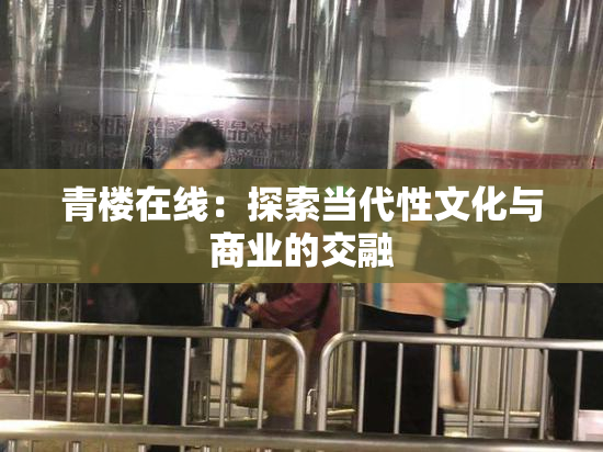 青楼在线：探索当代性文化与商业的交融