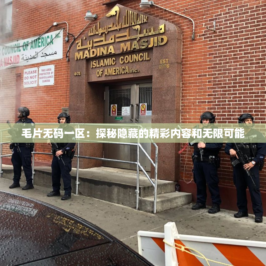 毛片无码一区：探秘隐藏的精彩内容和无限可能