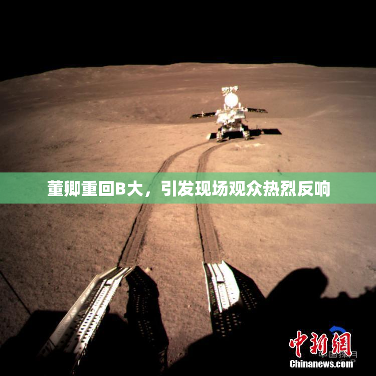 董卿重回B大，引发现场观众热烈反响
