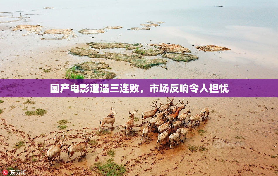 国产电影遭遇三连败，市场反响令人担忧