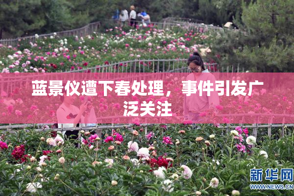 蓝景仪遭下春处理，事件引发广泛关注