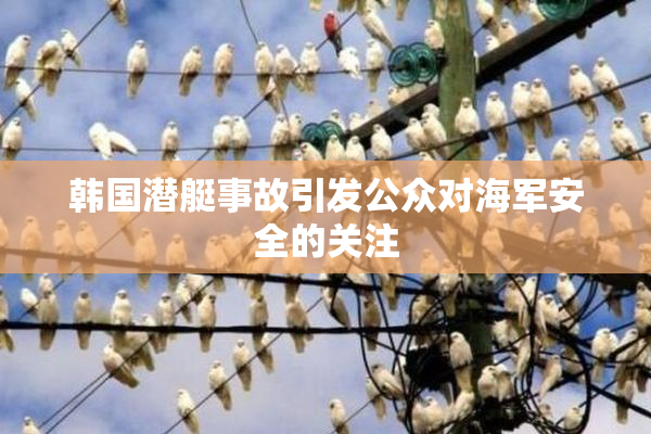 韩国潜艇事故引发公众对海军安全的关注