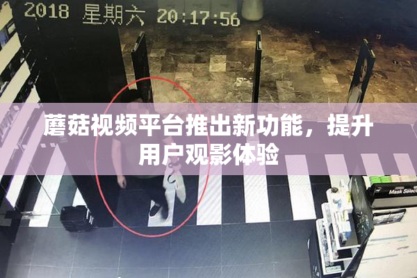 蘑菇视频平台推出新功能，提升用户观影体验