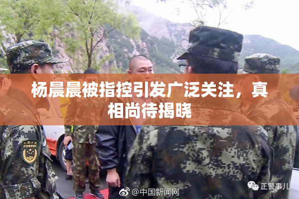 杨晨晨被指控引发广泛关注，真相尚待揭晓