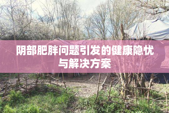 阴部肥胖问题引发的健康隐忧与解决方案