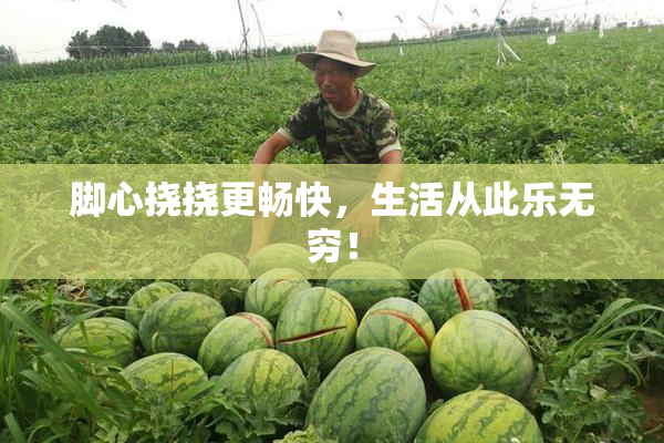 脚心挠挠更畅快，生活从此乐无穷！