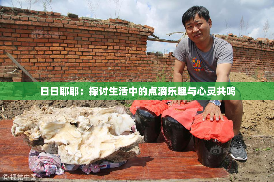 日日耶耶：探讨生活中的点滴乐趣与心灵共鸣