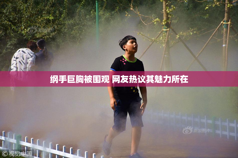 纲手巨胸被围观 网友热议其魅力所在