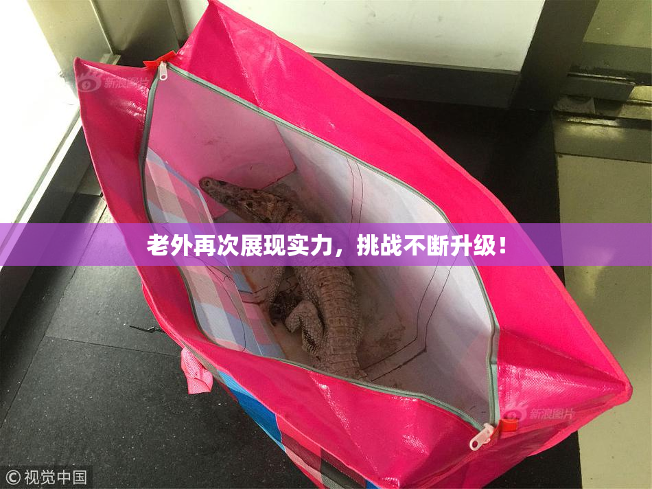 老外再次展现实力，挑战不断升级！