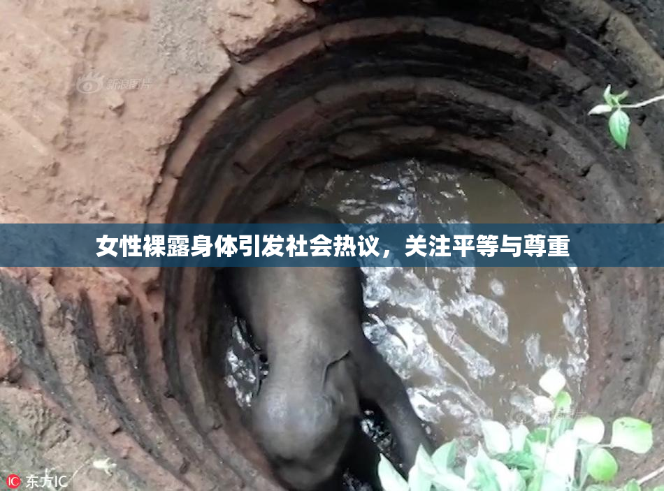 女性裸露身体引发社会热议，关注平等与尊重