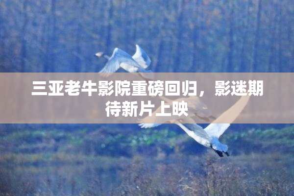 三亚老牛影院重磅回归，影迷期待新片上映