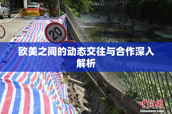 欧美之间的动态交往与合作深入解析