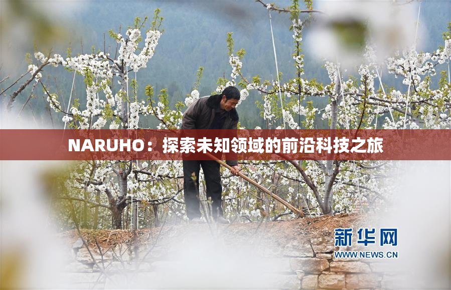 NARUHO：探索未知领域的前沿科技之旅
