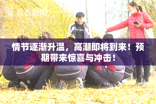 情节逐渐升温，高潮即将到来！预期带来惊喜与冲击！
