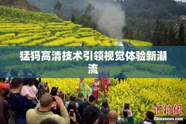猛犸高清技术引领视觉体验新潮流
