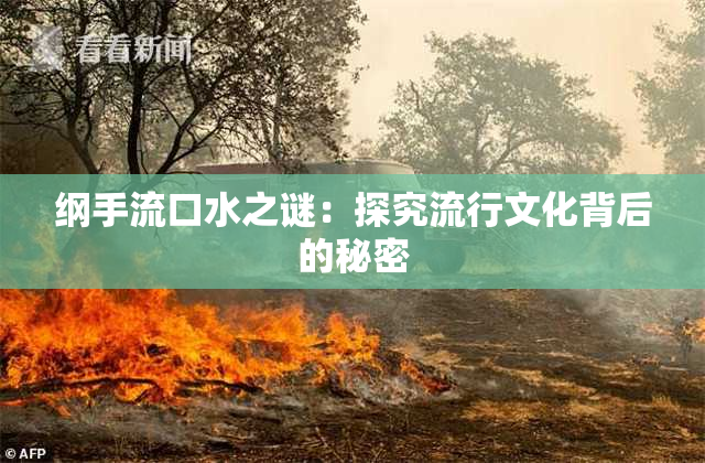 纲手流口水之谜：探究流行文化背后的秘密